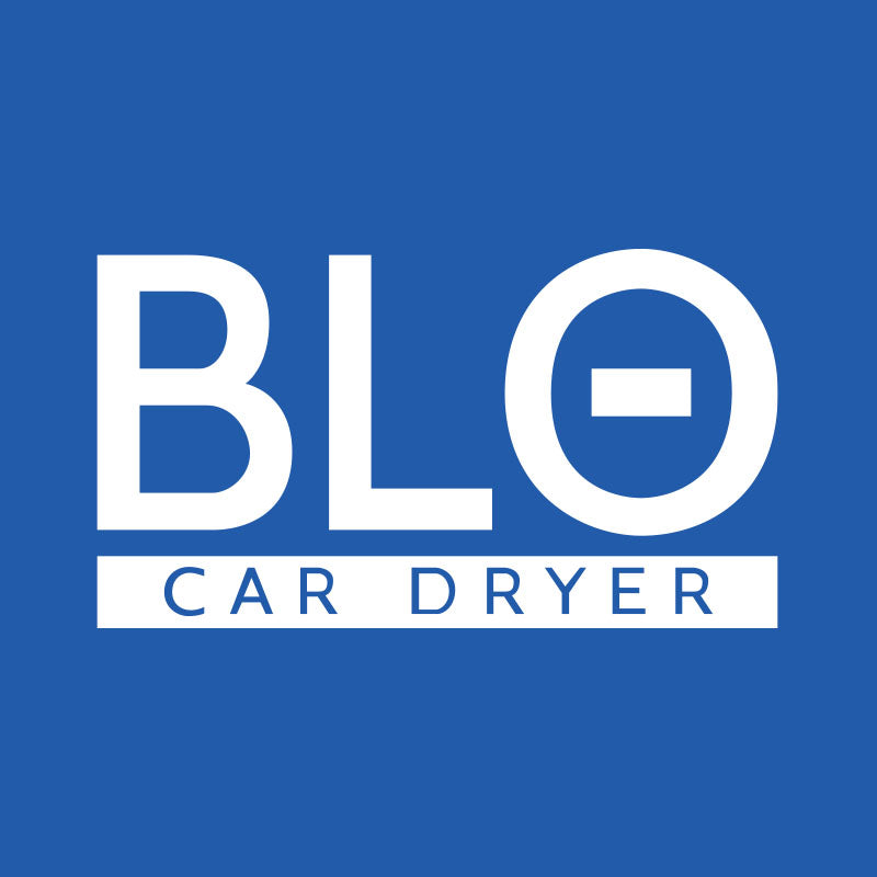 Blo Drying logo